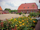 Ferienhaus in Bliesdorf - Landhaus Loose - Hofimpressionen