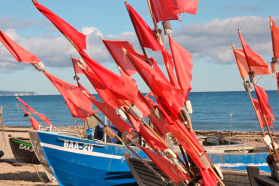 Ferienwohnung in Baabe - Stranddistel - Bild 10