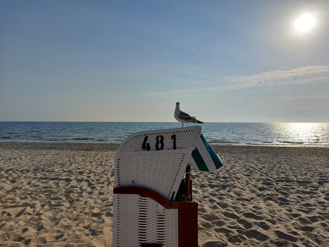 Ferienwohnung in Baabe - Stranddistel - Bild 13