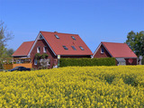 Ferienwohnung in Fehmarn OT Landkirchen - Haus am Feld - Ferienwohnung Haus am Feld