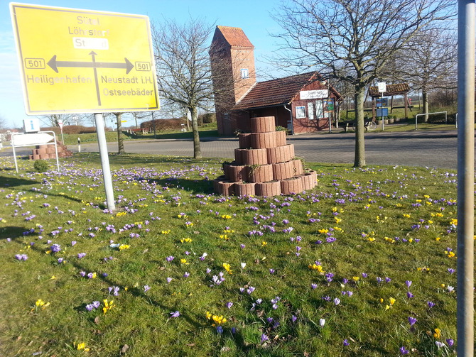 Ferienwohnung in Neukirchen - Haus Helga - Krokusblüte im Frühling