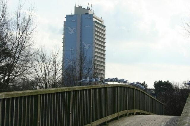 Ferienwohnung in Schönberg - Appartement K315 - Bild 2