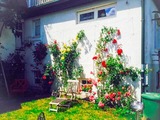 Ferienwohnung in Klingberg - romantische Ferienwohnung Sachsenhof 1 - Bild 10