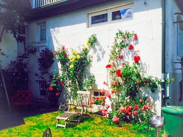 Ferienwohnung in Klingberg - romantische Ferienwohnung Sachsenhof 1 - Bild 10
