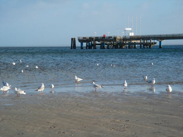Ferienwohnung in Haffkrug - Lachm&ouml;we - Bild 9