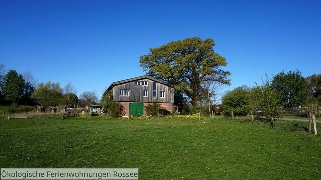 Ferienwohnung in Barkelsby - ökologische Ferienwohnung Rossee /Wohnung Süd - Bild 17