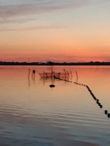 Ferienwohnung in Fehmarn OT Burgtiefe - Fischers Fernsicht - Bild 6