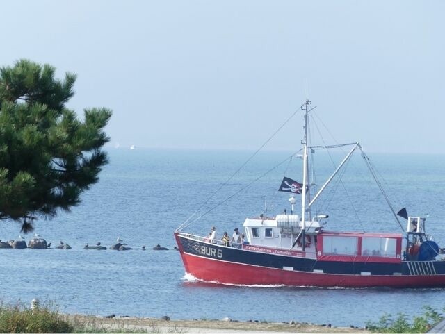 Ferienwohnung in Fehmarn OT Burgtiefe - Fischers Fernsicht - Bild 7