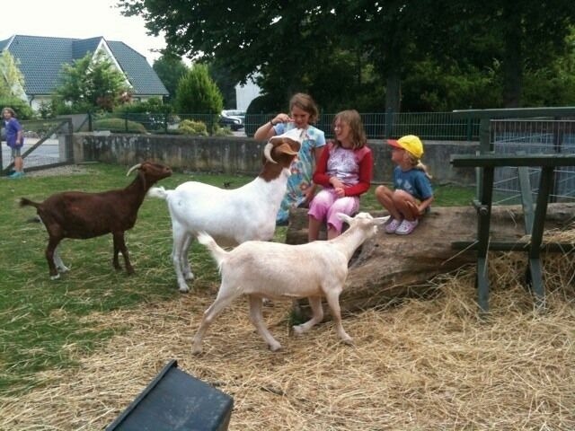 Ferienwohnung in Fehmarn OT Bannesdorf - "Ferienhof Alte M&uuml;hle" M 4 - Bild 10