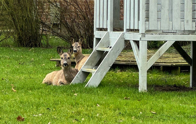 Ferienwohnung in Fehmarn OT Staberdorf - "Landhaus Voss" Typ 2 Nr.8 - Bild 21