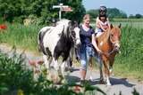 Ferienhaus in Fehmarn OT Wenkendorf - "Ferienhof Hinz" - Ferienhaus Gartenkieker - Bild 16