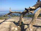 Ferienwohnung in Fehmarn OT Hinrichsdorf - Mohnblume Nr.2 - Bild 23