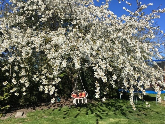Ferienwohnung in Fehmarn OT Hinrichsdorf - Mohnblume Nr.2 - Bild 15