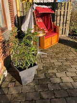 Ferienhaus in Fehmarn OT Fehmarnsund - 'Lotsenhaus' Ferienhaus Fehmarnsund - mit Garten - Bild 6