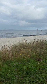 Ferienwohnung in Fehmarn OT Fehmarnsund - Ferienwohnung Raschke - Bild 18