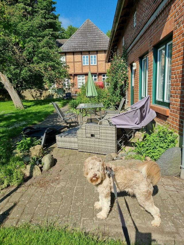 Ferienhaus in Fehmarn OT Bisdorf - Ferienhof Bisdorf "Lunauhaus" Reihenhaus - Bild 8