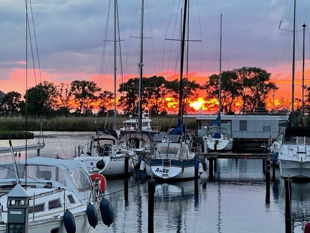 Ferienwohnung in Ueckermünde - Lagunenstadt am Haff Fewo 246 - Seeigel - Bild 14