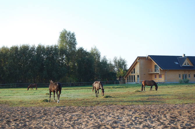 Ferienwohnung in Zinnowitz - Fewo 2 Eisold - Bild 10