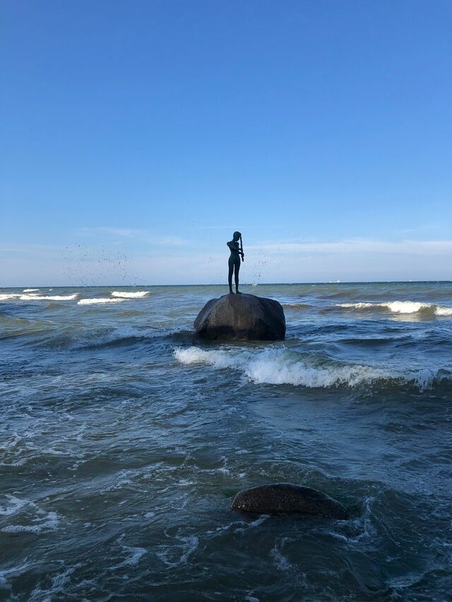 Ferienwohnung in Sellin - Ferienhaus zum Südstrand App. 2 - Bild 16