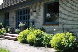 Ferienwohnung weißes Haus
