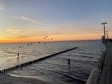Ferienhaus in Zingst - Ferienhaus Mein Panama - Bild 19