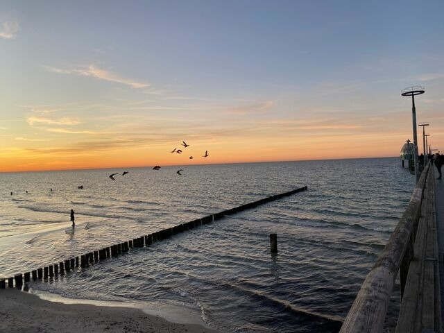 Ferienhaus in Zingst - Ferienhaus Mein Panama - Bild 19