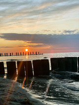 Ferienwohnung in Ostseeheilbad Zingst - Villa Carpe Diem,Whg. 1 - Bild 19