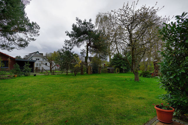 Ferienhaus in Ostseeheilbad Zingst - Grunewald, Ulf - Bild 13