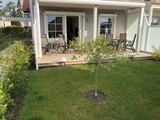 Ferienwohnung in Gr&ouml;mitz - Ferienwohnung "Ostseegl&uuml;ck" - Bild 17