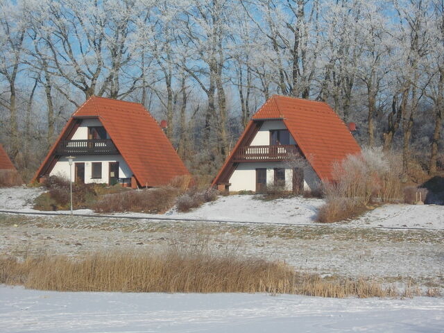 Ferienhaus in Marlow - Finnhäuser am Vogelpark - Haus Lisa - Bild 15