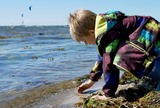 Ferienwohnung in Fehmarn - Knusthof Lafrenz - S&uuml;d - Bild 16