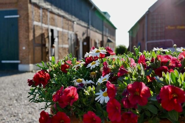 Ferienwohnung in Fehmarn - Knusthof Lafrenz - Br&uuml;ckenblick - Bild 11