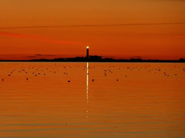 Ferienwohnung in Fehmarn - S&uuml;dwind - Bild 20