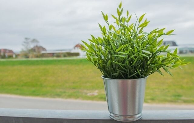 Ferienwohnung in Dahme - Haus am Deich Wohnung 9 - Bild 8