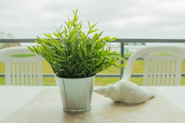 Ferienwohnung in Dahme - Haus am Deich Wohnung 9 - Bild 14