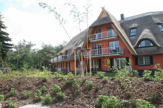 Ferienwohnung in Dierhagen - Balkon-Maisonette-Ferienwohnung - Bild 12