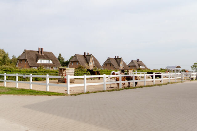 Ferienhaus in Fehmarn OT Staberdorf - Reethaus 1B - Bild 20