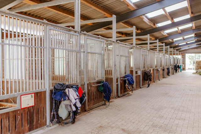 Ferienhaus in Fehmarn OT Staberdorf - Omas Haus - Bild 24