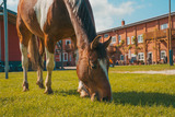 Ferienwohnung in Fehmarn OT Westermarkelsdorf - Ora - Bild 25