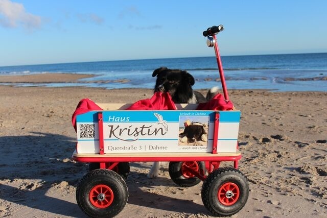 Ferienwohnung in Dahme - Kristin - Bild 21