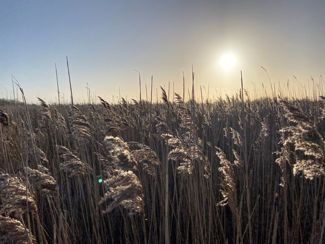 Ferienwohnung in Fehmarn - Ferienwohnung Süd - Bild 13