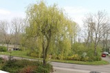 Ferienwohnung in Holm - Ferienwohnung F109 - Bild 11