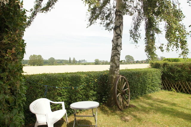 Bungalow in Dahme - Flora - Bild 15