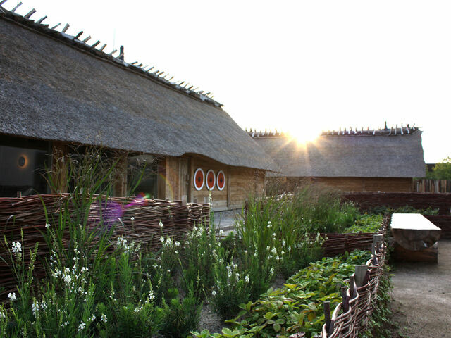 Ferienhaus in Damp - Nurdachhaus im Dampland an der Ostsee - Bild 14