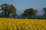 Ferienwohnung in Schashagen - Bellevue rechts - Bild 11