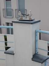 Ferienwohnung in Gr&ouml;mitz - Gr&uuml;ntal 4, Whg. 5 - Bild 14