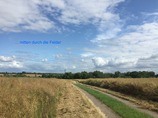 Ferienwohnung in Wendtorf - Whg. Austernfischer - Haus Nordlichter - Bild 14