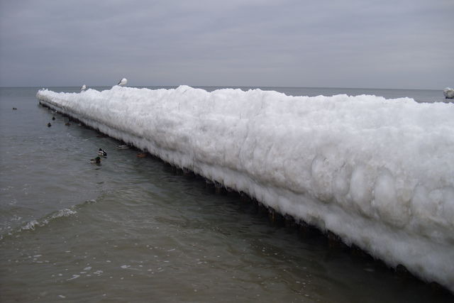Ferienwohnung in Ostseeheilbad Zingst - Ferienwohnung M&ouml;we - Bild 12