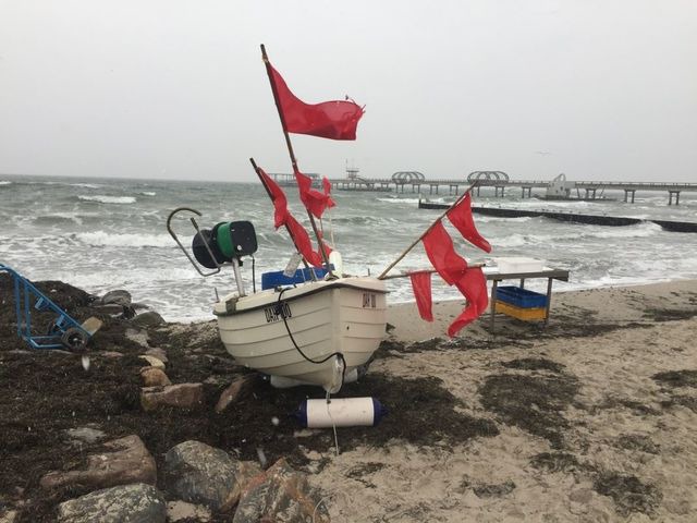 Ferienwohnung in Kellenhusen - Haus Strandläufer Wohnung 1 - Bild 12