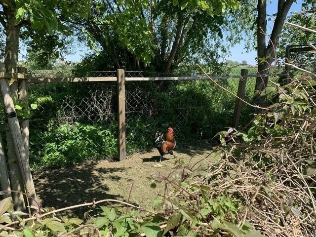 Ferienwohnung in Grube - Horizont - Bild 19